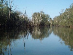 longest river in australia warrego river
